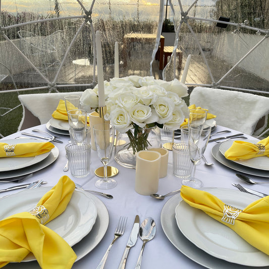 Igloo Dining Experience